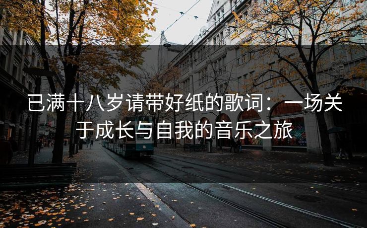 已满十八岁请带好纸的歌词：一场关于成长与自我的音乐之旅